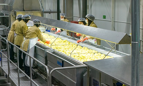 İntar Dondurulmuş Patates