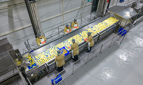 İntar Dondurulmuş Patates