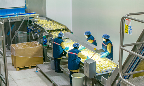 İntar Dondurulmuş Patates