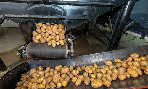 İntar Dondurulmuş Patates