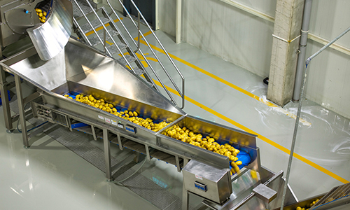 İntar Dondurulmuş Patates