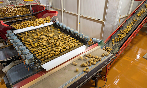 İntar Dondurulmuş Patates