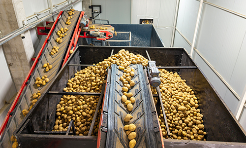 İntar Dondurulmuş Patates