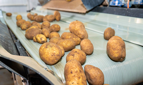 İntar Dondurulmuş Patates
