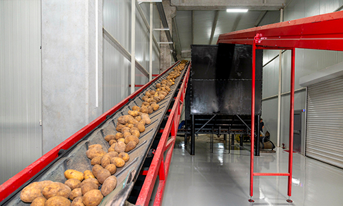 İntar Dondurulmuş Patates
